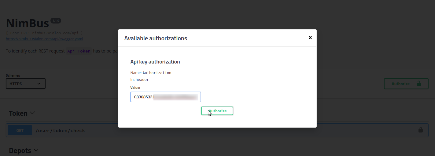 Api authorization. Basic аутентификация. Swagger authorization. Токен (авторизации). Basic авторизация.